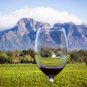 Wine Tour